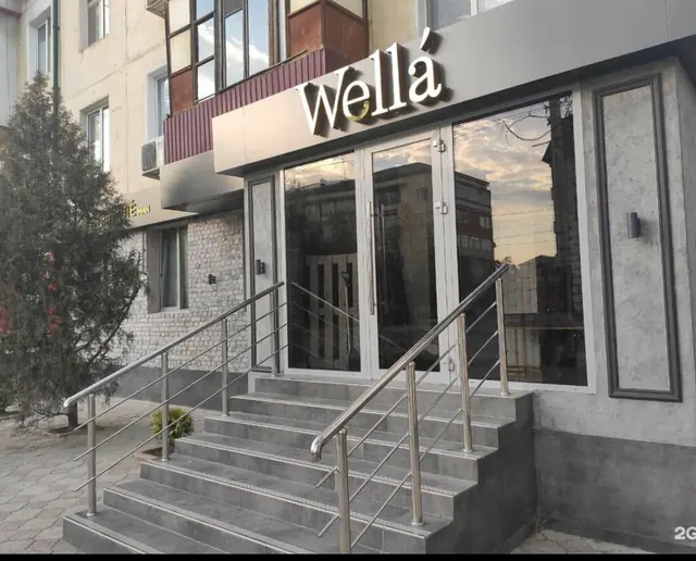 Wella — фото 1